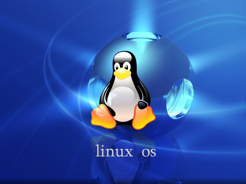 Mastering Linux: A Practical Guide to the Linux Operating System