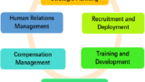 Transforming HR with AI: Strategies for Recruiting and Retention