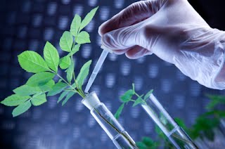 From Lab to Field: The Power of Biotechnology in Agriculture – Education in  Future Technologies