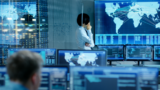 Mastering IT Management: A Guide for Effective Leadership and Operations