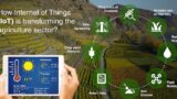 The Internet of Things and Agriculture: A Revolution in Farming