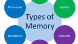 The Future of Memory: How Technology Will Help Us Remember and Forget