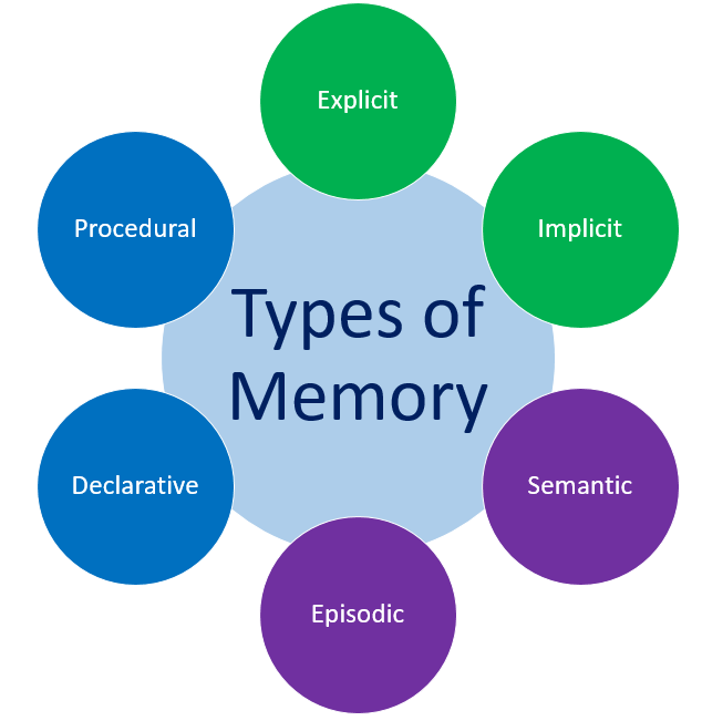 The Future of Memory: How Technology Will Help Us Remember and Forget