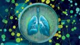 The Future of Organ Transplantation: Exploring the Promise of Synthetic Organs