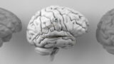 Neurotechnology: Unlocking the Potential of the Human Brain