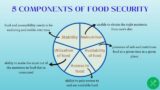 Food Security: Navigating Global Challenges and Building Sustainable Solutions