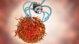 NanoWarriors: Exploring the World of Nanorobotics