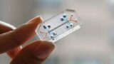 Nanosensors: Advancements, Applications, and Materials