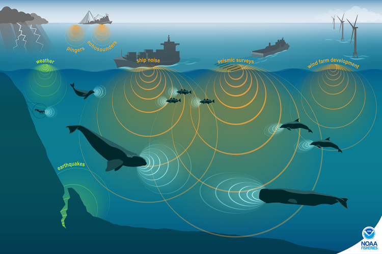 Quantum Sensing in Marine Seismic Acoustic Technology: Revolutionizing Underwater Exploration and Security