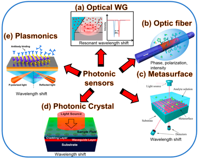 Photonic Sensors and Detectors: From Fundamentals to Cutting-Edge Applications